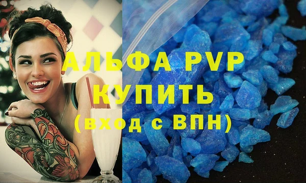 сатива Беломорск