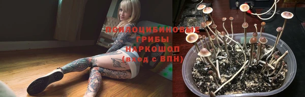 spice Белоозёрский