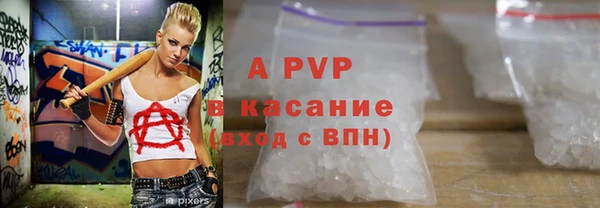 сатива Беломорск