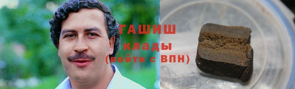 сатива Беломорск