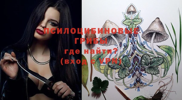 сатива Беломорск