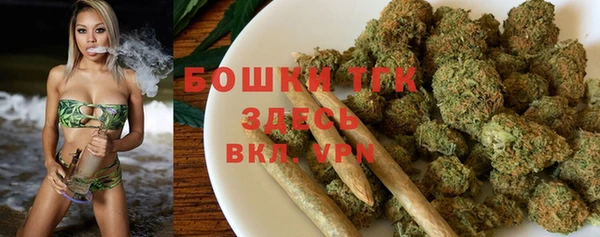 сатива Беломорск