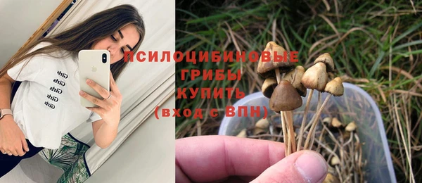 spice Белоозёрский