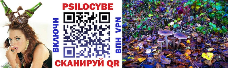 Галлюциногенные грибы Cubensis  цены наркотик  Севск 